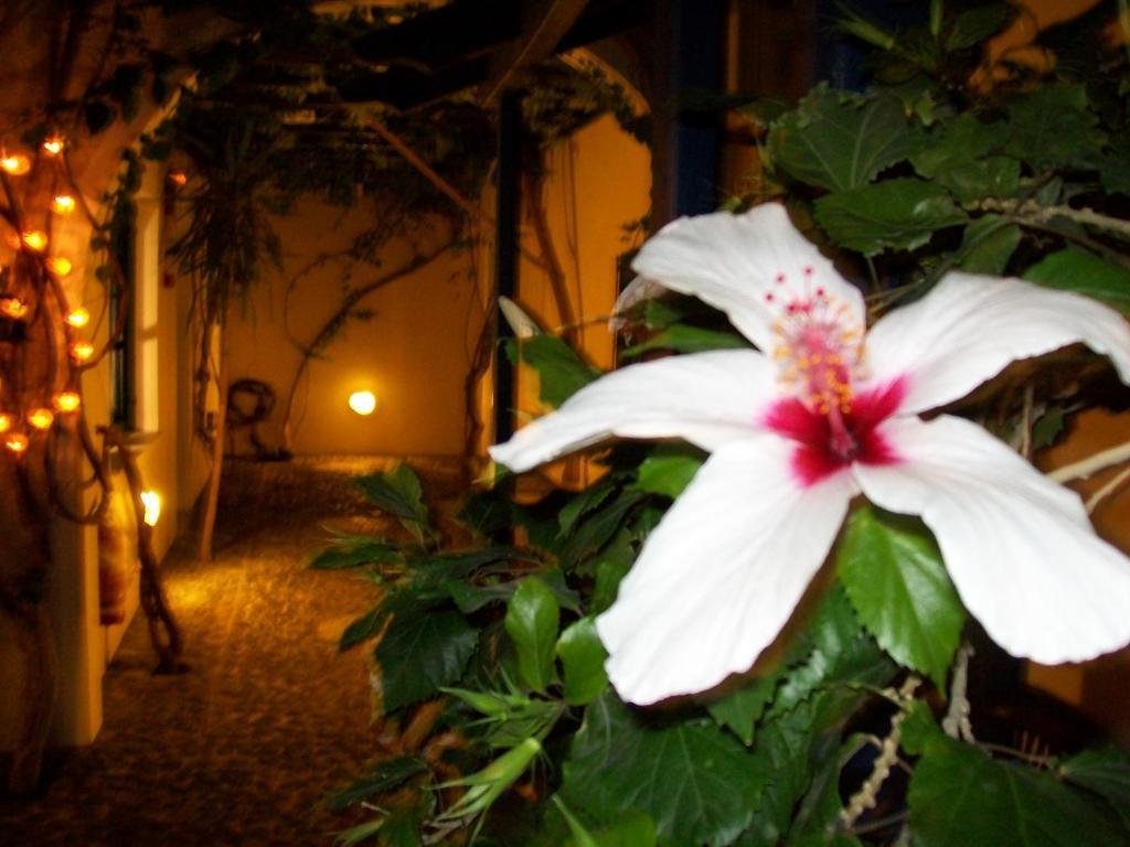 Villa Spyros Santorini Perissa (Santorini) Exterior foto